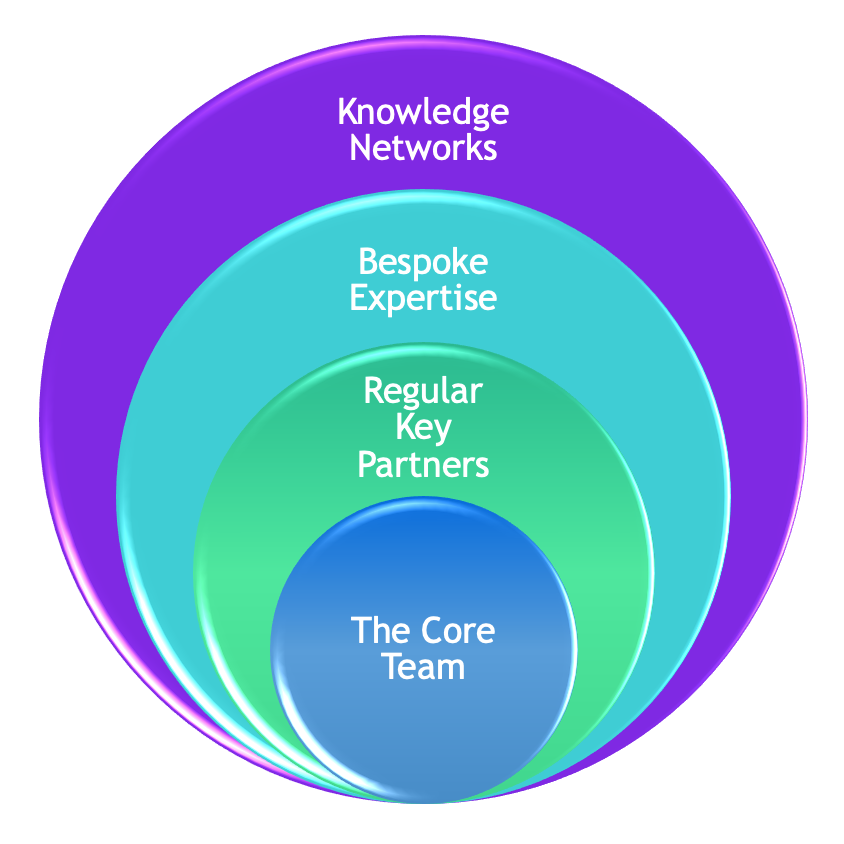 team structure